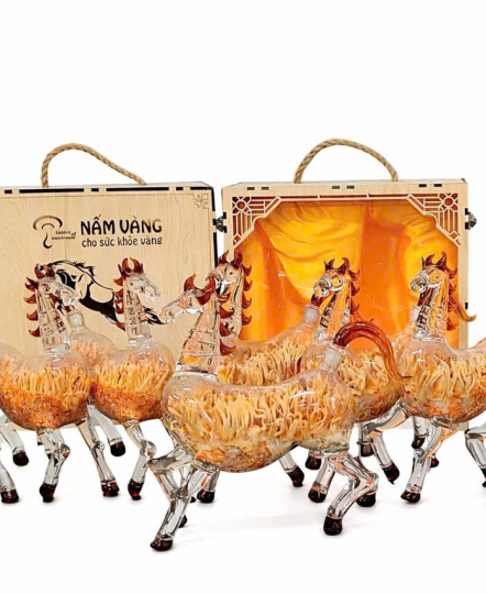 Hộp quà tết Đông Trùng Hạ Thảo